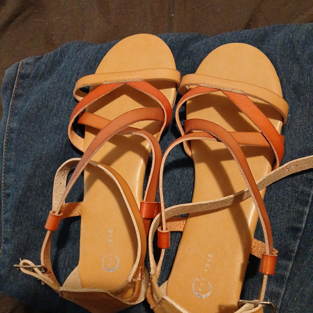 Women's Tan and Brown Strappy Sandals